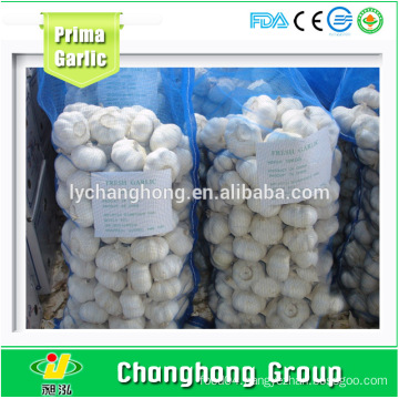 Factory Directly Supply Fresh Garlic with Best Quality